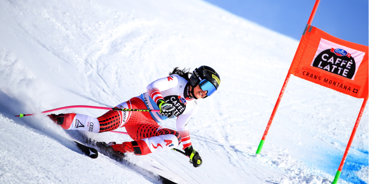 venier_stephanie venier_stephanie